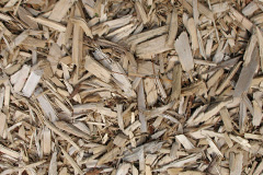 biomass boilers Hawkchurch
